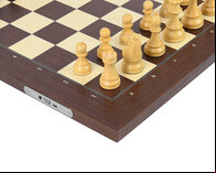 DGT USB e-Board - Rosewood with indices