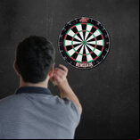 Shot Renegade Bristle Dartboard