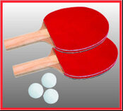 Butterfly Compact 16 Table Tennis Table