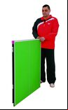 Butterfly Junior (3/4 sized) Indoor Table Tennis Table