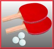 Butterfly Junior (3/4 sized) Indoor Table Tennis Table