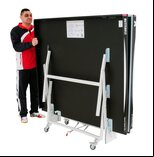 Butterfly Space Saver 25 Rollaway Table Tennis Table